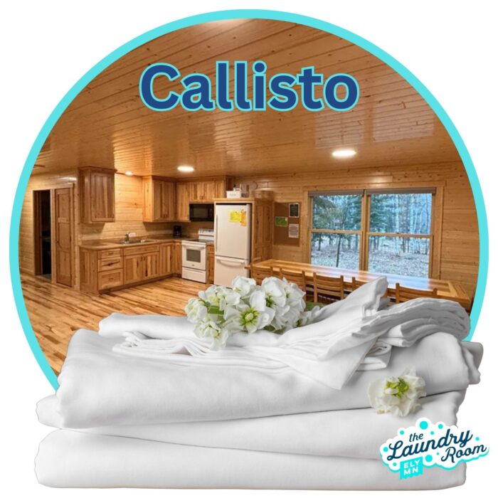 Callisto cabin