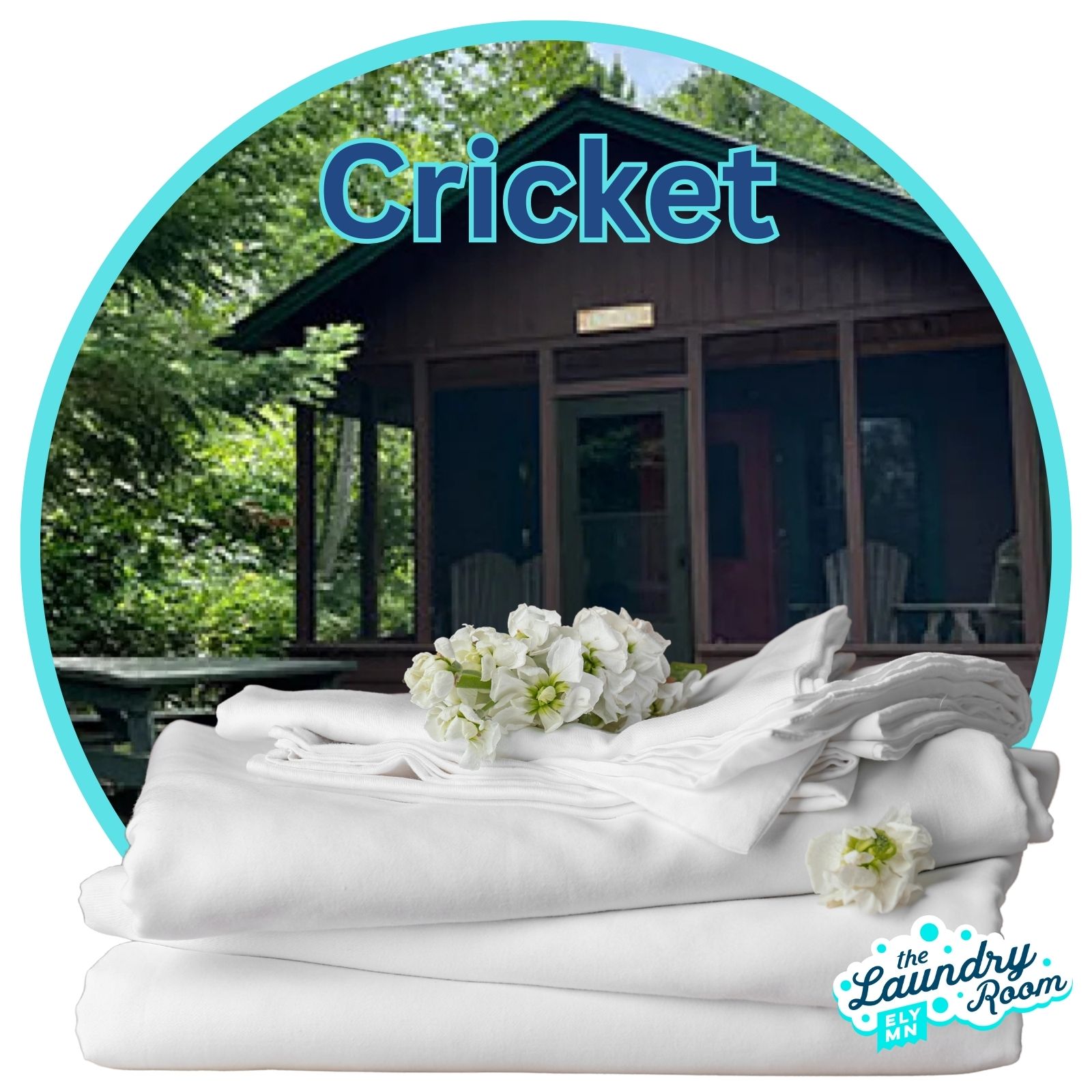 Cricket
