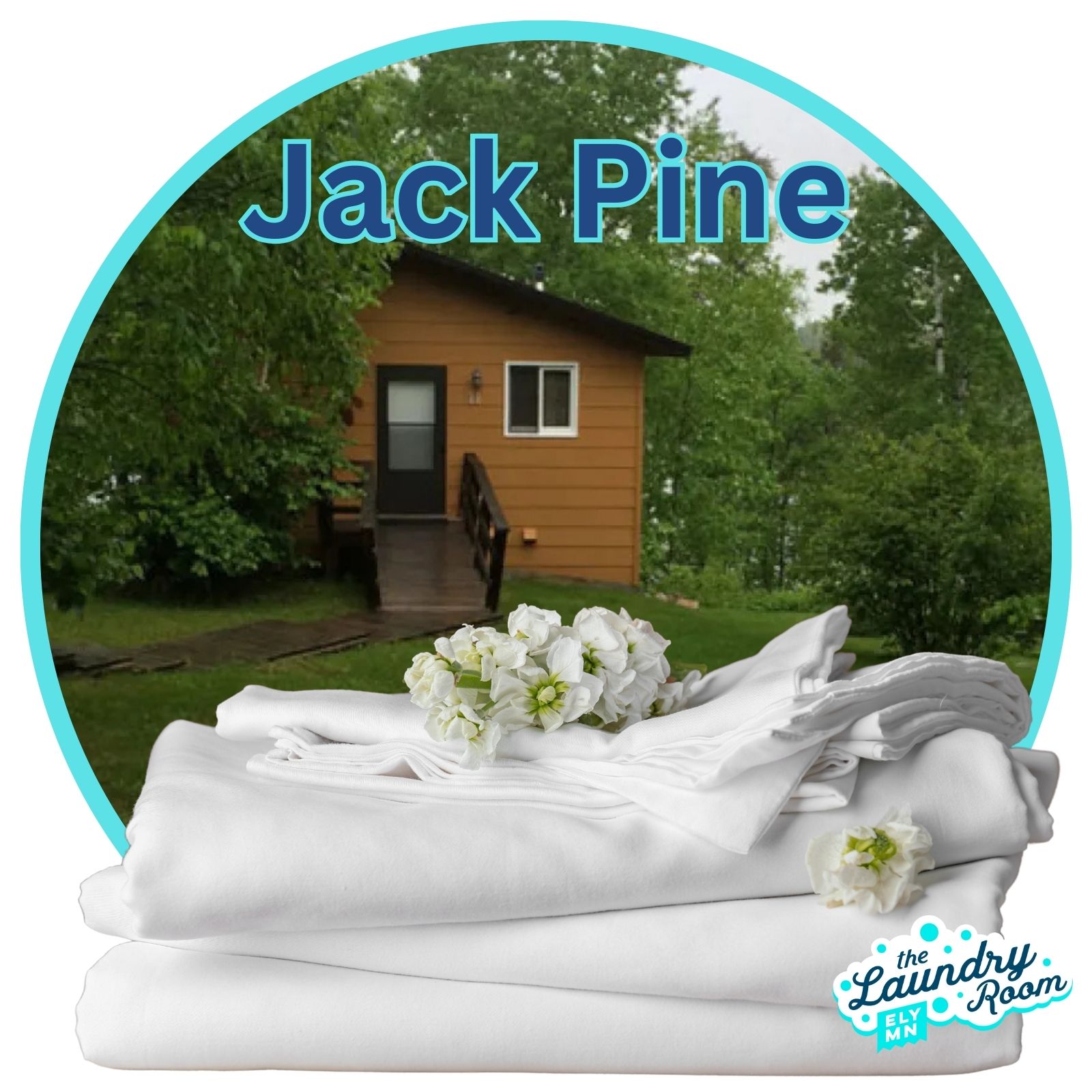Jack Pine