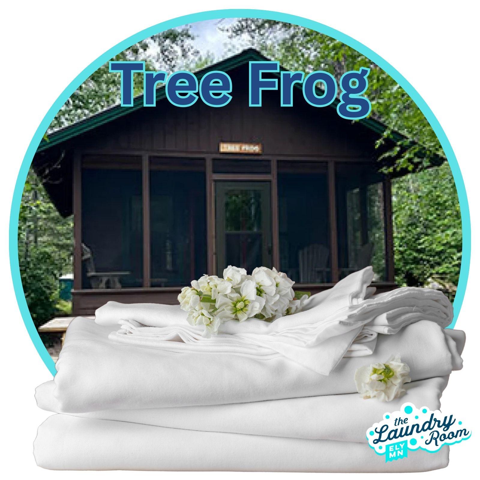 Tree Frog